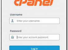 cpanel pembuatan email domain perusahaan