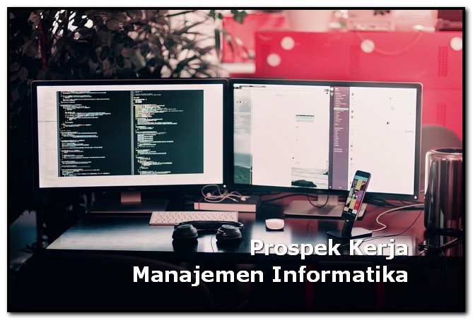 prospek kerja manajemen informatika