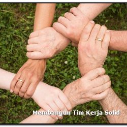cara membangun tim kerja yang baik