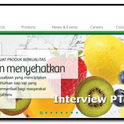 interview pt forisa