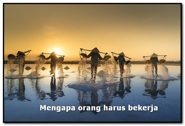 mengapa orang harus bekerja