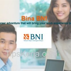 psikotes bina bni